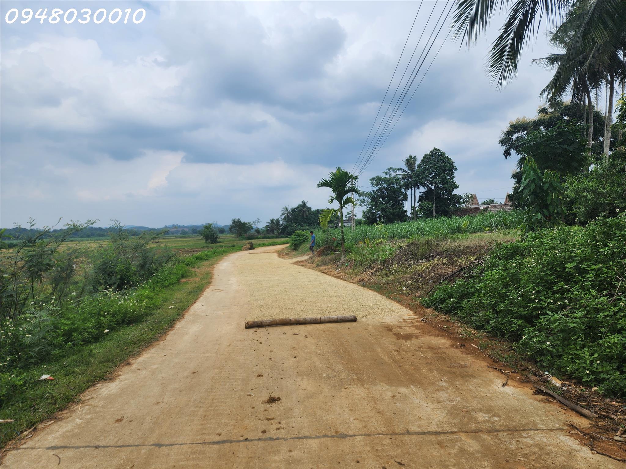 BÁN ĐẤT TẠI THÔN MINH THẮNG, XÃ MINH SƠN, HUYỆN NGỌC LẶC, TỈNH THANH HÓA - Ảnh chính